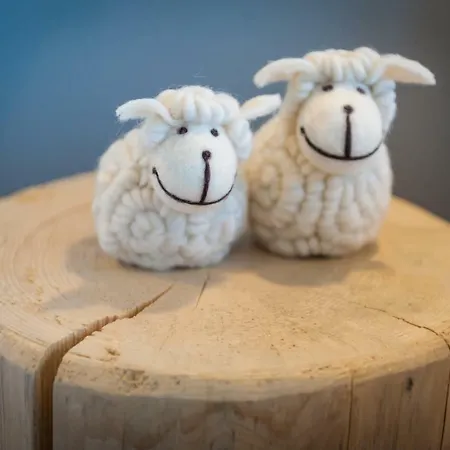 Brody בית אירוח