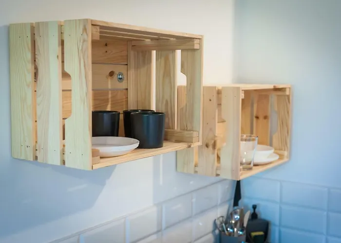 Brody * ויסלאו